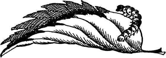 Я познаю мир. Загадки истории - i_035.jpg