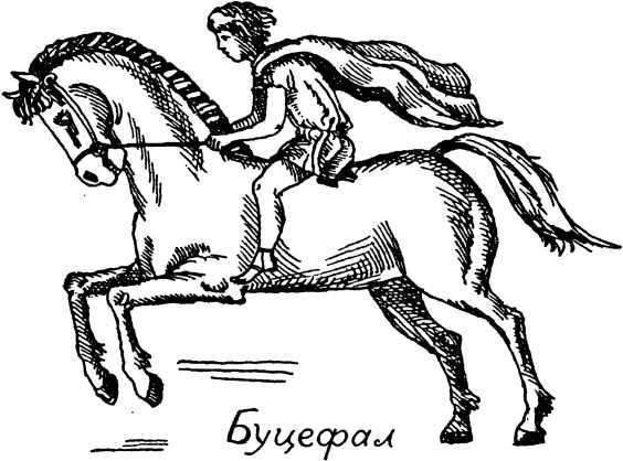 Я познаю мир. Загадки истории - i_044.jpg