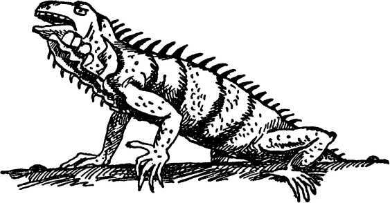 Я познаю мир. Загадки истории - i_143.jpg