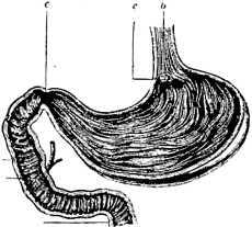 В тайниках человеческого тела - i_024.jpg