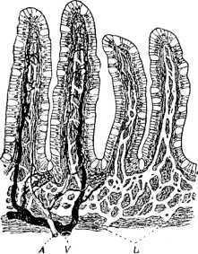 В тайниках человеческого тела - i_025.jpg