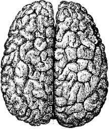 В тайниках человеческого тела - i_028.jpg