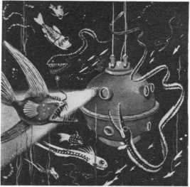 Загадка Марса - i_010.jpg