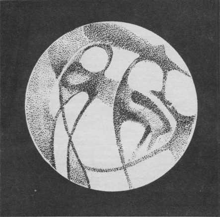 Загадка Марса - i_044.jpg