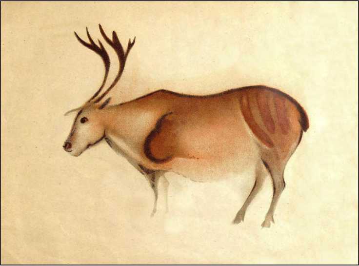 Охотники каменного века<br />(В дали времен. Т. VII ) - i_026.jpg