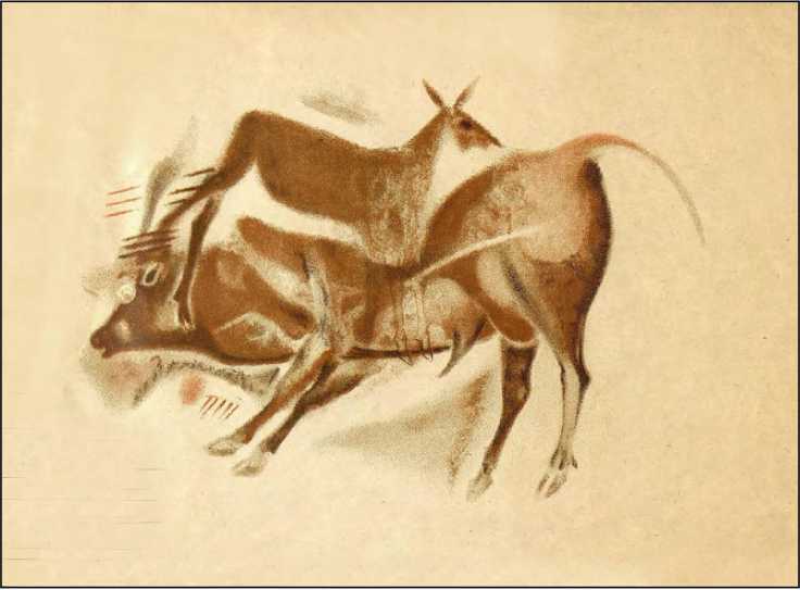 Охотники каменного века<br />(В дали времен. Т. VII ) - i_031.jpg