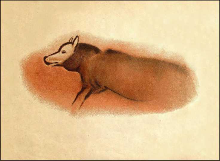 Охотники каменного века<br />(В дали времен. Т. VII ) - i_032.jpg