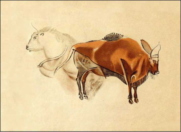 Охотники каменного века<br />(В дали времен. Т. VII ) - i_033.jpg