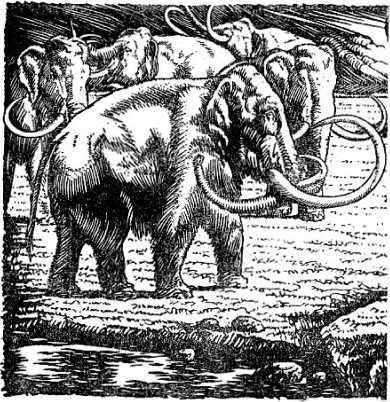 Охотники каменного века<br />(В дали времен. Т. VII ) - i_039.jpg