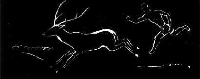 Охотники каменного века<br />(В дали времен. Т. VII ) - i_045.jpg