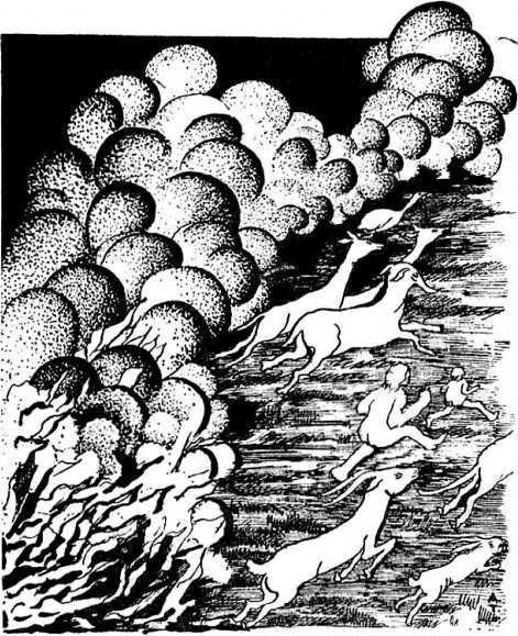 Человек идет!<br />(В дали времен. Т. VIII) - i_043.jpg