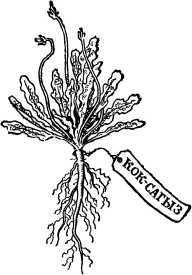 Два шага до чуда<br />(Очерки) - i_061.jpg