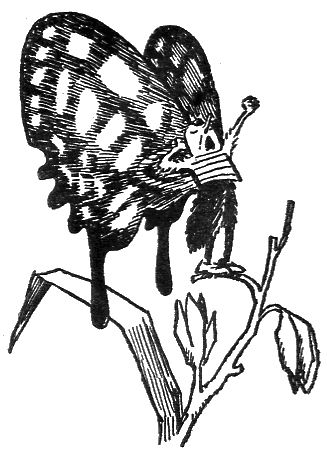 Баранкин, будь человеком (с иллюстрациями) - g19.png