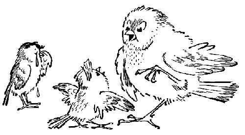 Баранкин, будь человеком (с иллюстрациями) - g9.png