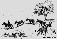 Ослокрады (с иллюстрациями) - i_013.jpg