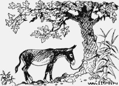 Ослокрады (с иллюстрациями) - i_014.jpg