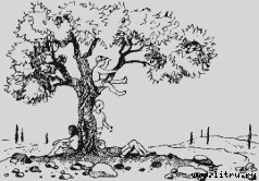 Ослокрады (с иллюстрациями) - i_019.jpg