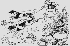 Ослокрады (с иллюстрациями) - i_022.jpg