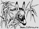 Ослокрады (с иллюстрациями) - i_027.jpg