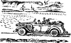 ПИКНИК И ПРОЧИЕ БЕЗОБРАЗИЯ - pic_2.jpg