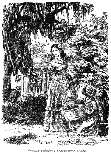 Квартеронка - i_03.png