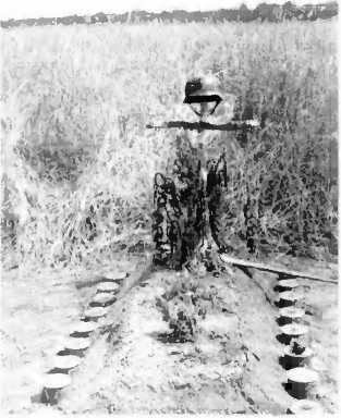 История вермахта. Итоги - i_055.jpg