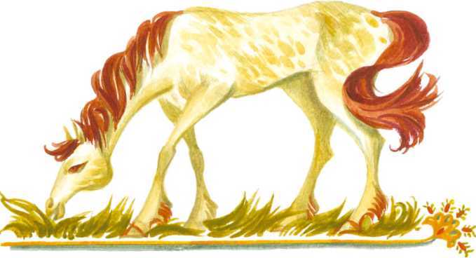 Чудесный чарык<br />(Крымскотатарские народные сказки) - i_026.jpg