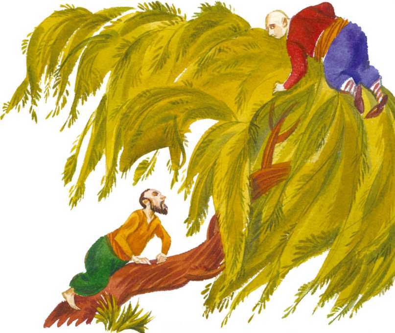 Чудесный чарык<br />(Крымскотатарские народные сказки) - i_056.jpg