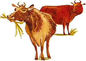 Чудесный чарык<br />(Крымскотатарские народные сказки) - i_058.png