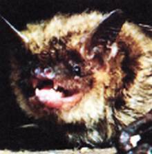 «Наука и Техника» [журнал для перспективной молодежи], 2006 № 02 (2) - _01.jpg_8