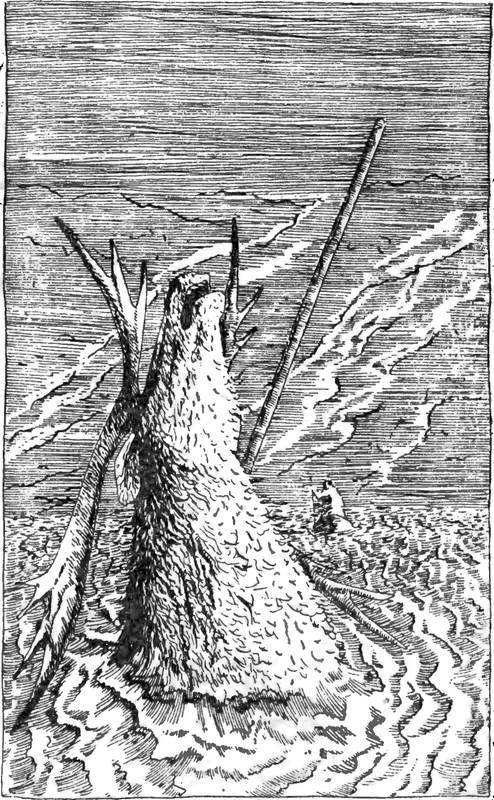 Пещеры Красной реки. Листы каменной книги<br />(Исторические повести) - i_009.jpg