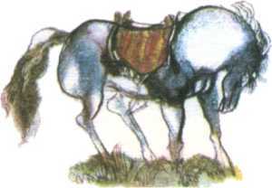 Болгарские народные сказки. Том 1 - i_018.jpg