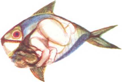 Болгарские народные сказки. Том 2 - i_011.jpg