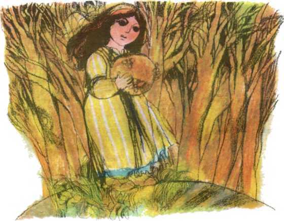 Болгарские народные сказки. Том 2 - i_012.jpg