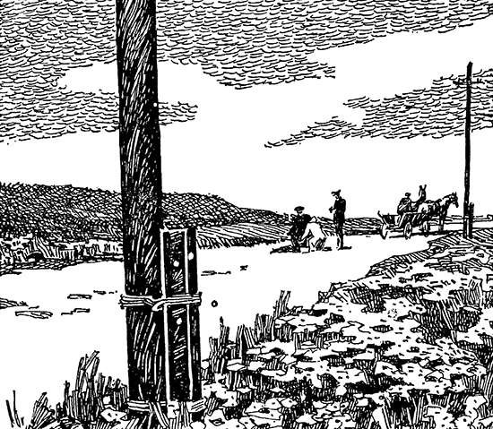 Конец фирмы Беняева<br />(Записки следователя) - i_003.png