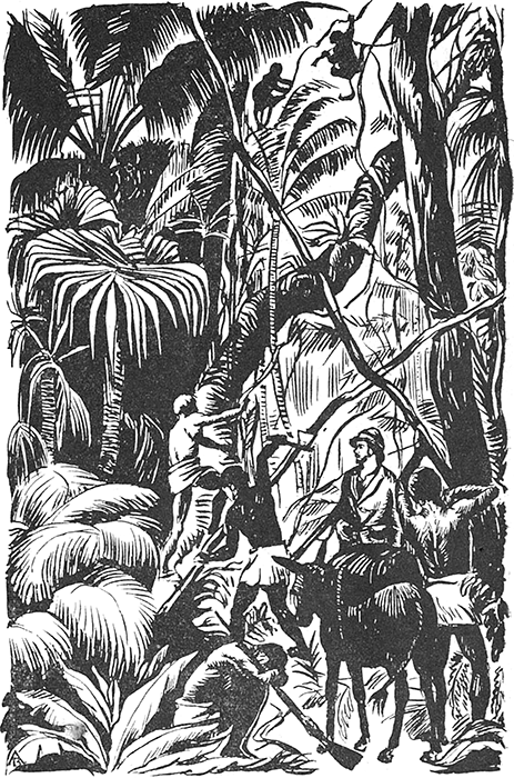 По дебрям и морям<br />(Жизнь и приключения Генри Стэнли и Джемса Кука) - i_003.png