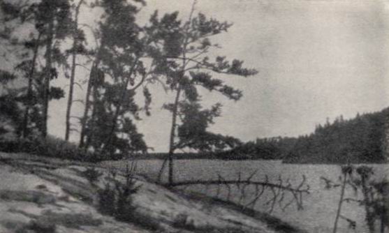 Тридцать лет среди индейцев: Рассказ о похищении и приключениях Джона Теннера - foto02.jpg