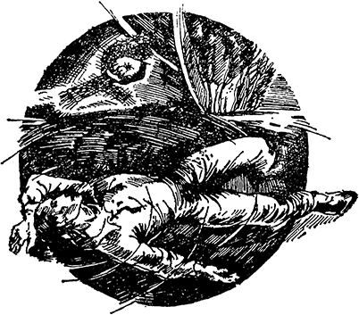 Золотая жила<br />(Записки следователя) - i_004.png