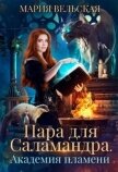 Пара для саламандра. Академия драконьего пламени (СИ) - Вельская Мария