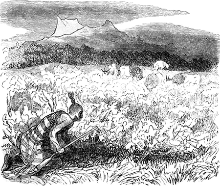 Исторические рассказы и биографии - _12.png