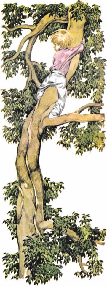 Беглец<br />(Рассказ) - i_005.jpg