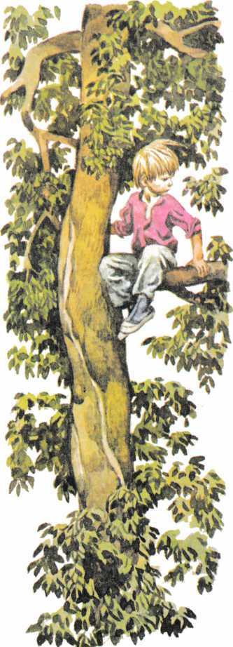 Беглец<br />(Рассказ) - i_006.jpg