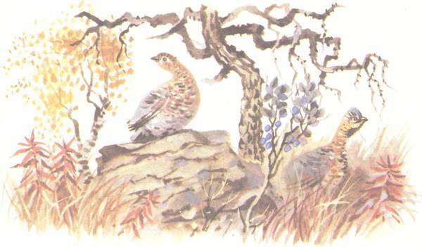 Зимовье на Студеной - i_010.jpg