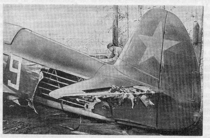 Рыжик (СИ) - i_019.jpg