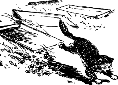 С первым открытием, Костик!<br />(Рассказы) - i_008.png