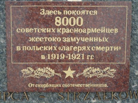 Под прикрытием (СИ) - img_4