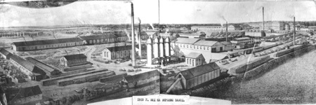 Под прикрытием (СИ) - img_2