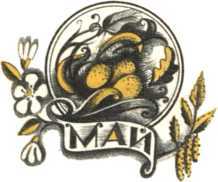 Не уходи, Аук!<br />(Лесные сказки) - i_012.jpg