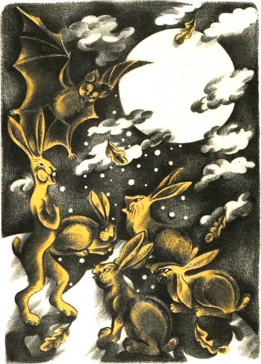 Не уходи, Аук!<br />(Лесные сказки) - i_027.jpg