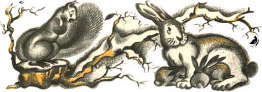 Не уходи, Аук!<br />(Лесные сказки) - i_029.jpg